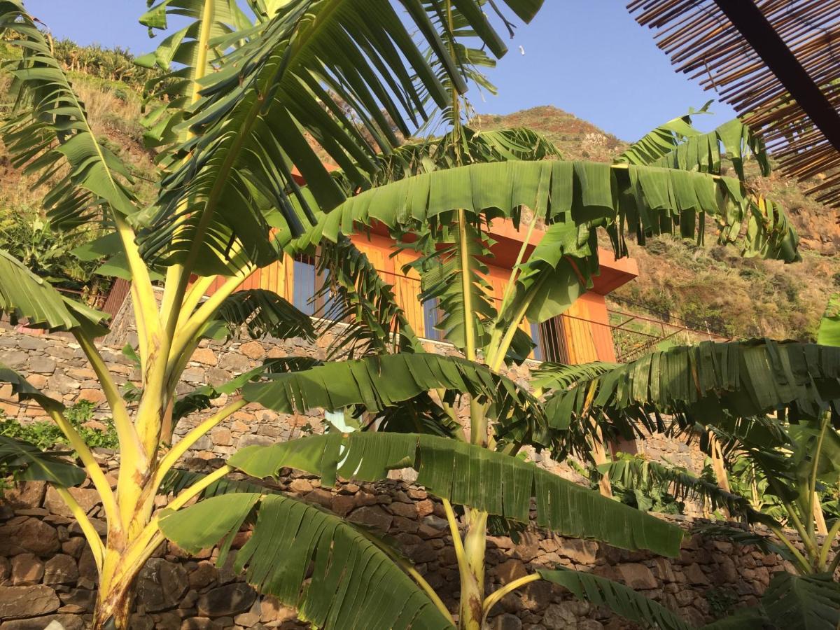 הוילה ארקו דה קלחטה Mango House מראה חיצוני תמונה